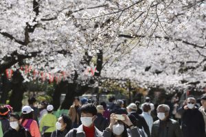 Статья на тему «Как Япония столкнулась с пандемическим чудом»